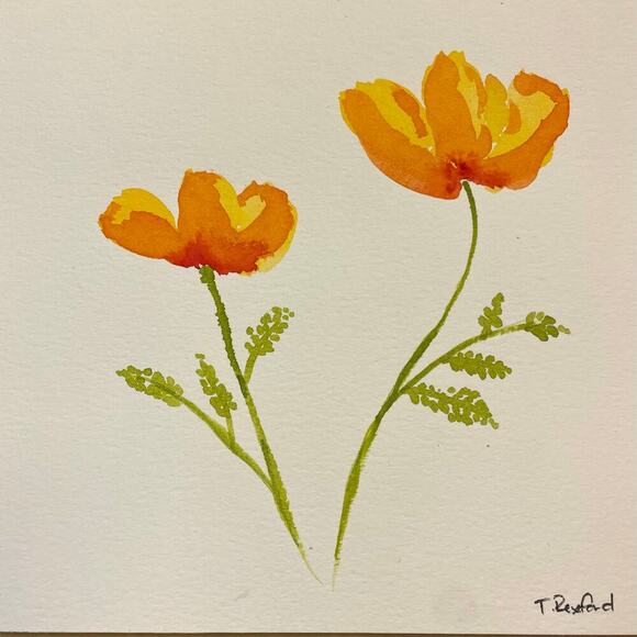 Hand painted watercolor original painting California poppies - Picture 1 of 1